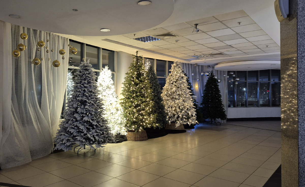 в ТЦ новый год