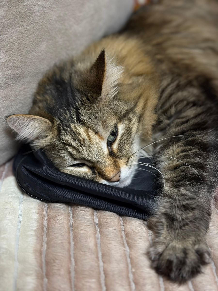 Маруся отдыхает 