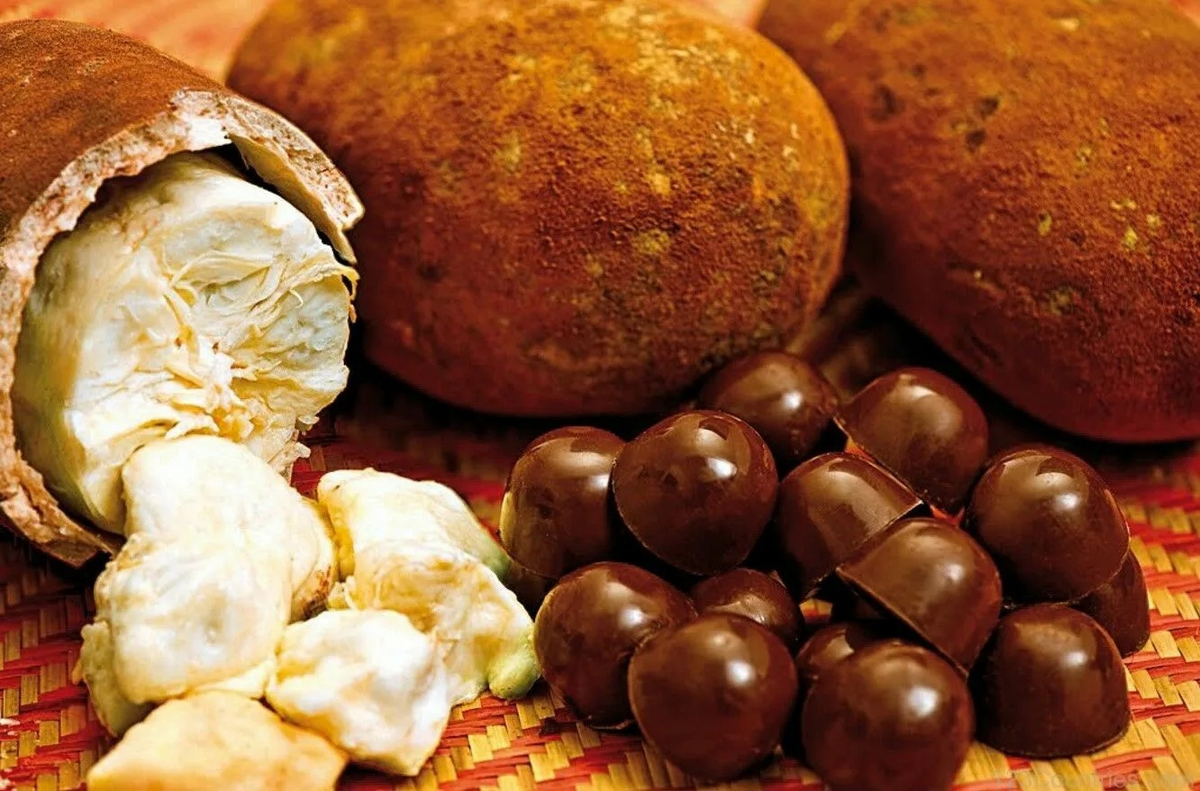 Нежная белая мякоть напоминает мороженое