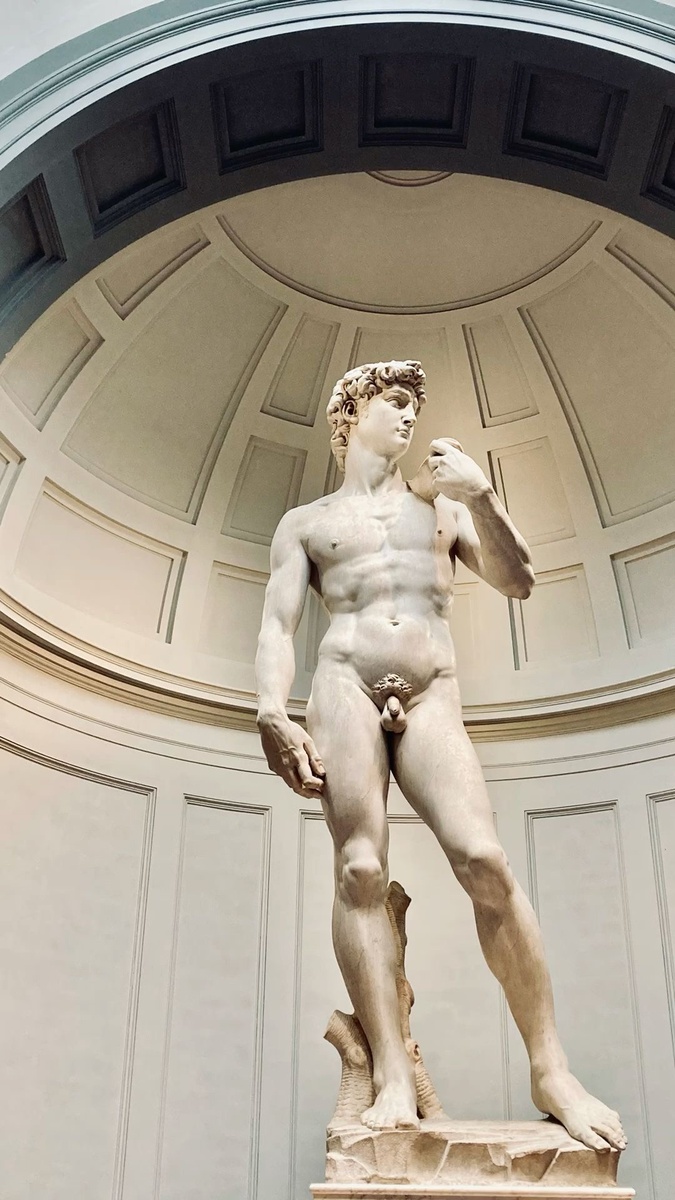 Статуя «Давид» (1501–1504, мрамор, Академия изящных искусств Флоренции)