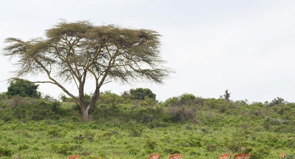    Li Yahui/XinHua / www.globallookpress.com