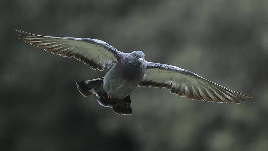    Фото: Global Look Press/Bulkin Sergey