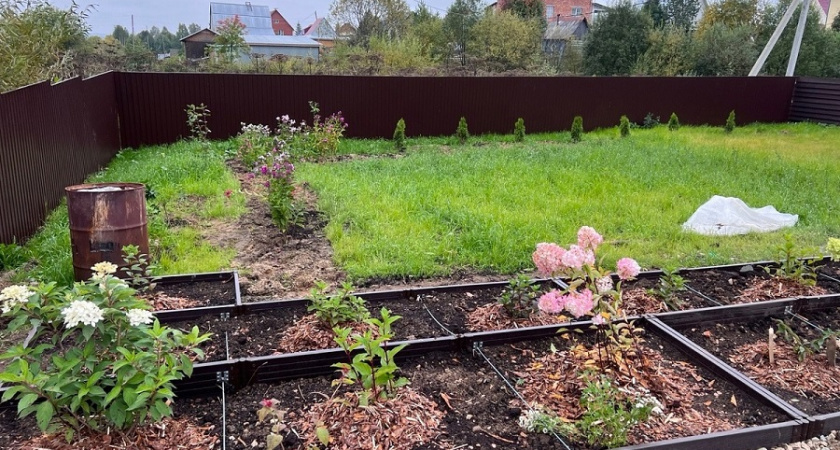    Всего 10 минут работы с опавшими листьями — и грядки станут мягкими, как гусиный пух