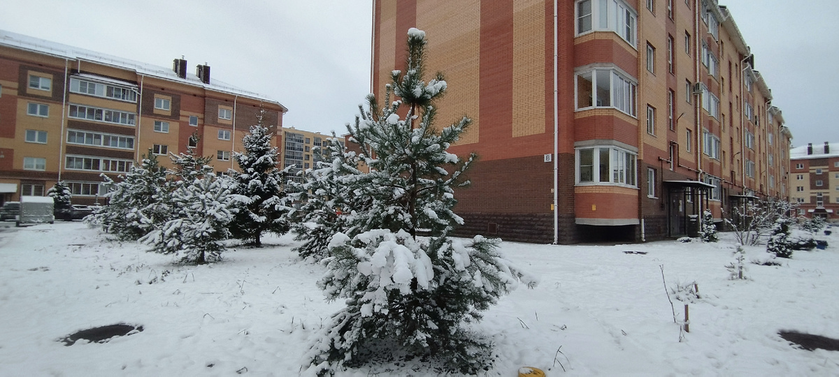 Зима в Великом Новгороде