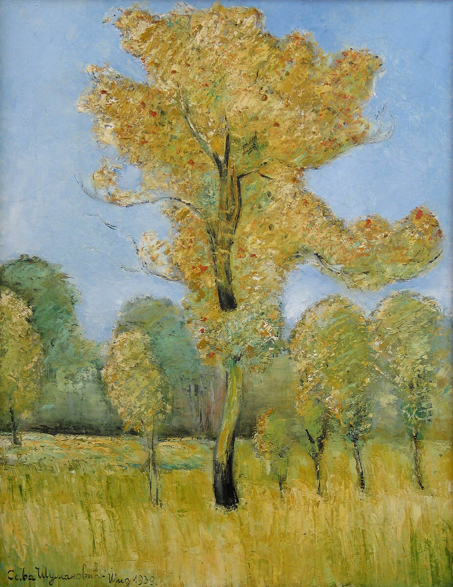 Вяз. Масло, холст