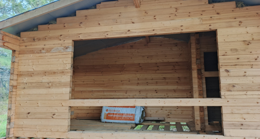    фото bryansk.news