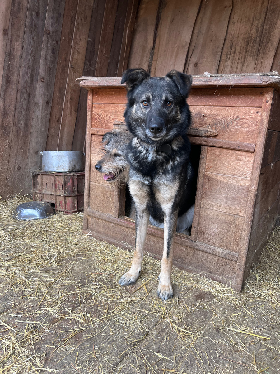 Гек и Гелочка ❤️