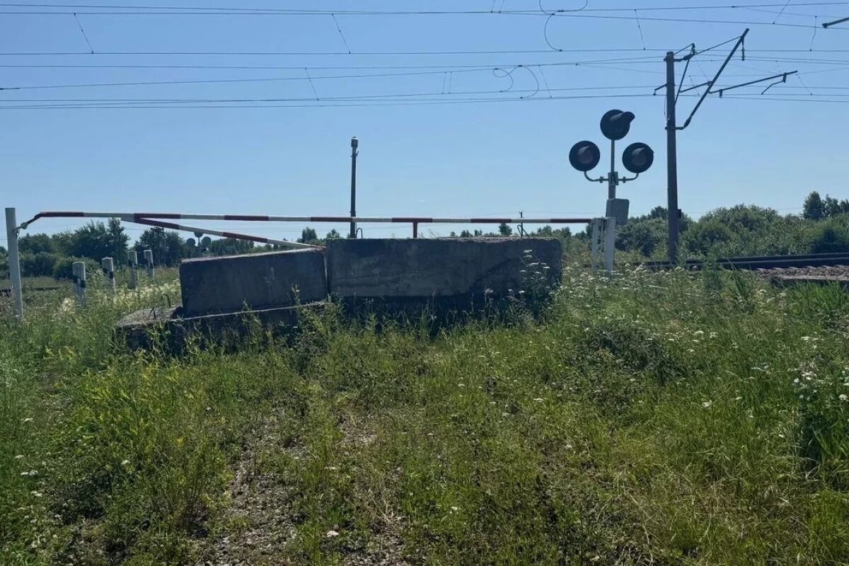    В ЕАО фермерам перекрыли единственный безопасный маршрут к сельхозугодьям