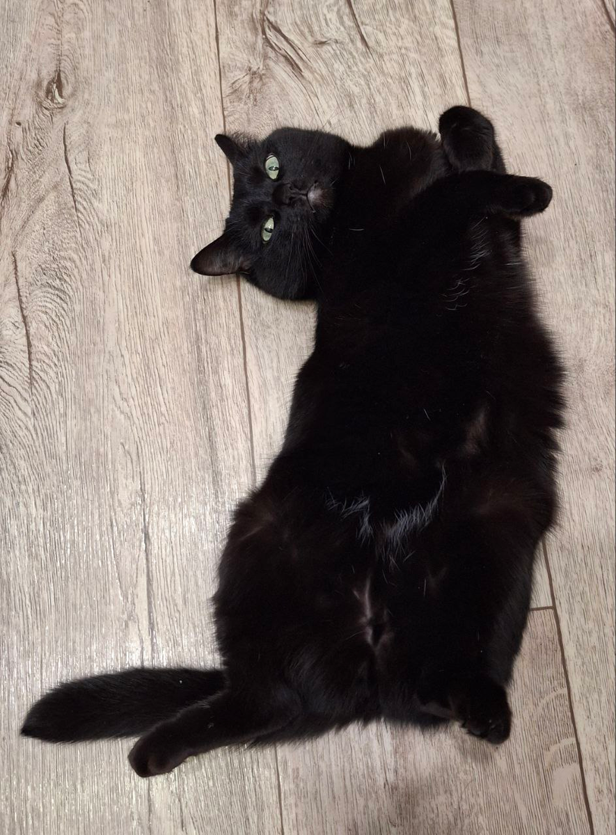 Ночка, балдеет