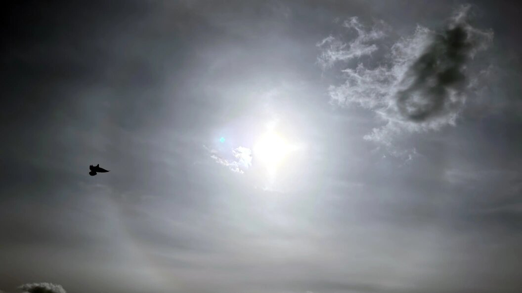    Фото: Alexander Legky/Globallookpress