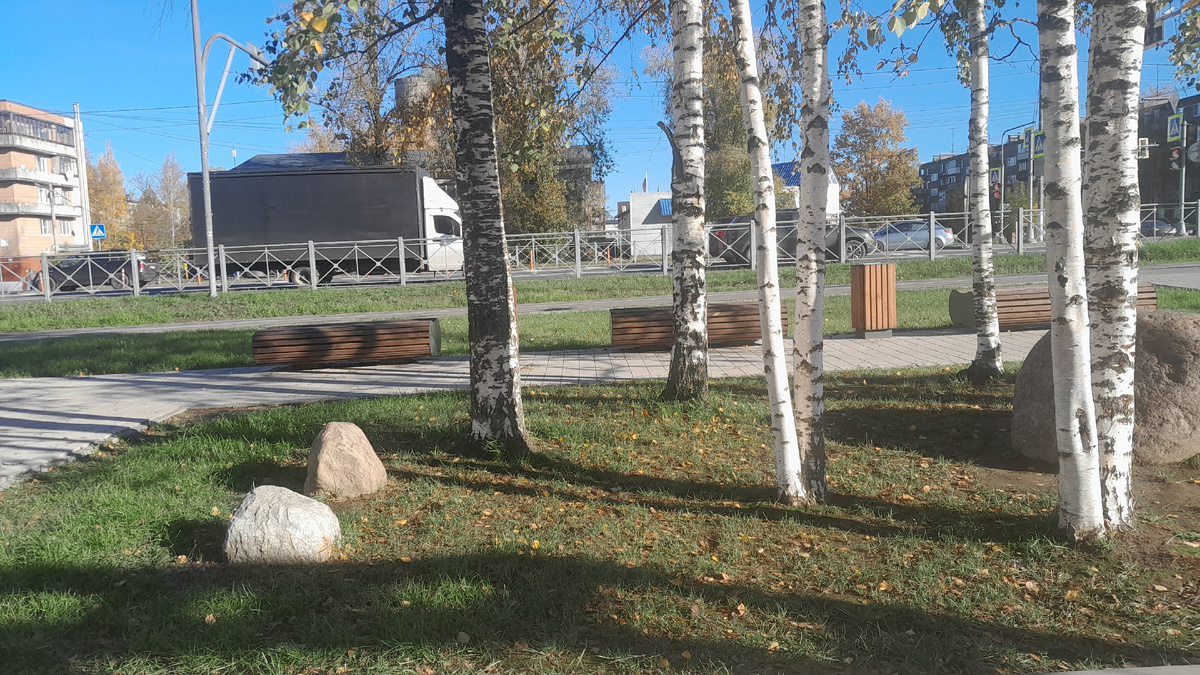 Фото Автора Ирины Одарчук Паули - композитор, музыкант, писатель, поэт, блогер...