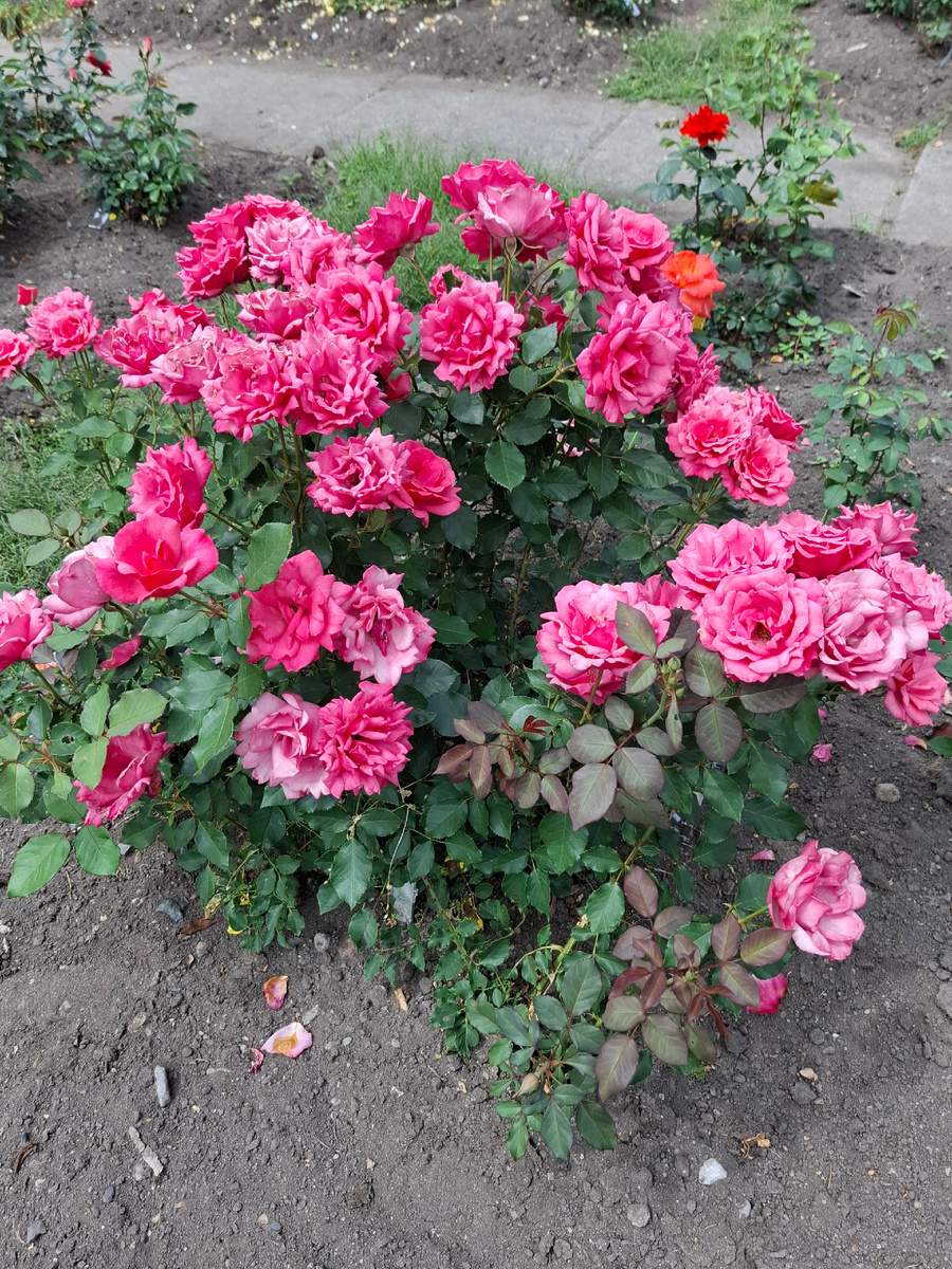 Фото автора канала