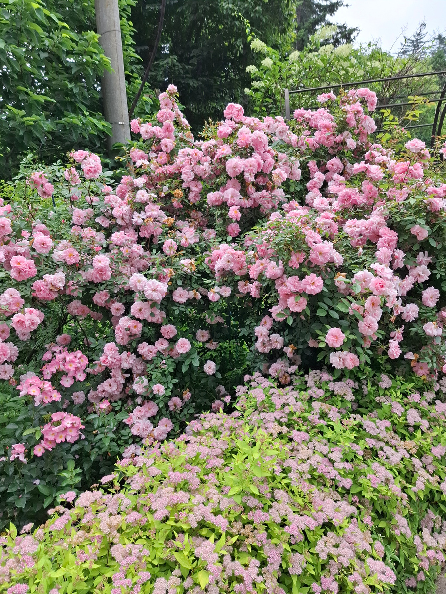 Фото автора канала