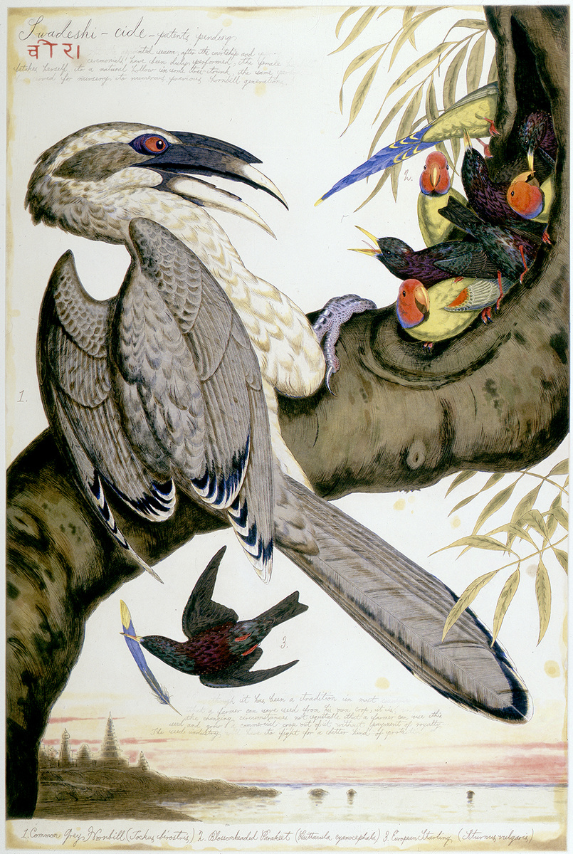 Орнитомантия No 1 — Уолтон Форд
15 мая 2019 года