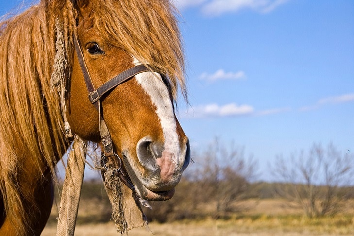    Фото Андрея Заржецкого