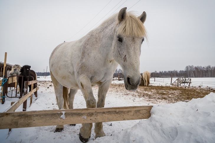 © Фото VN.ru.📷
