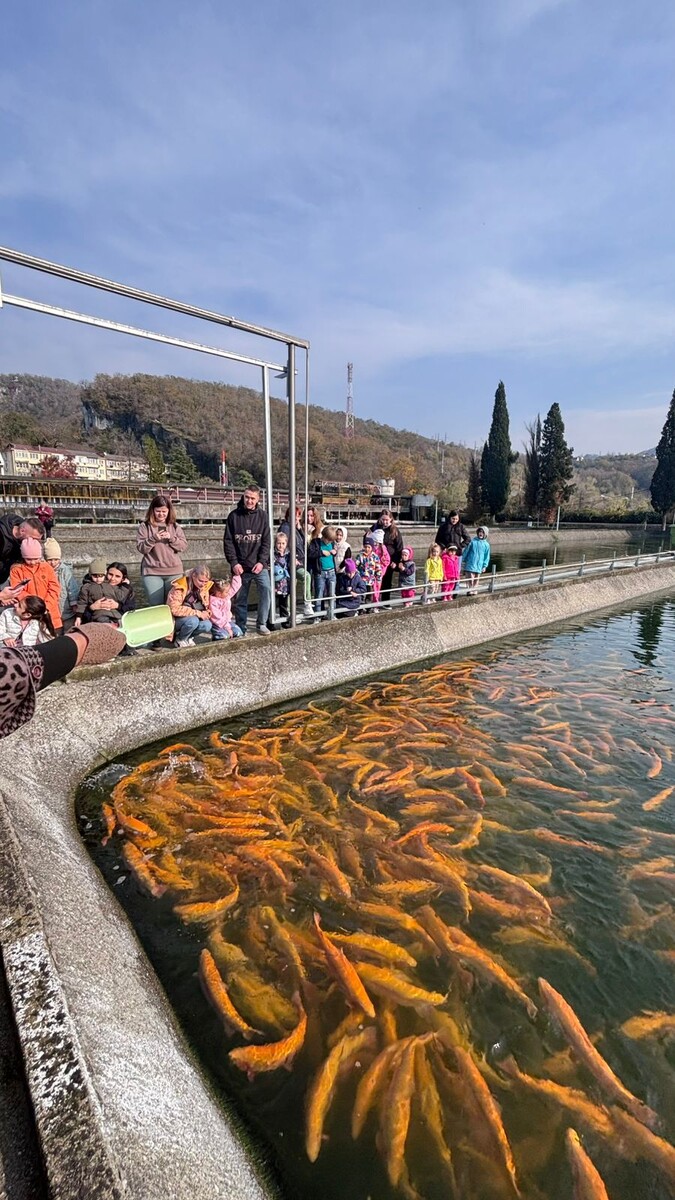 Золотая рыбка