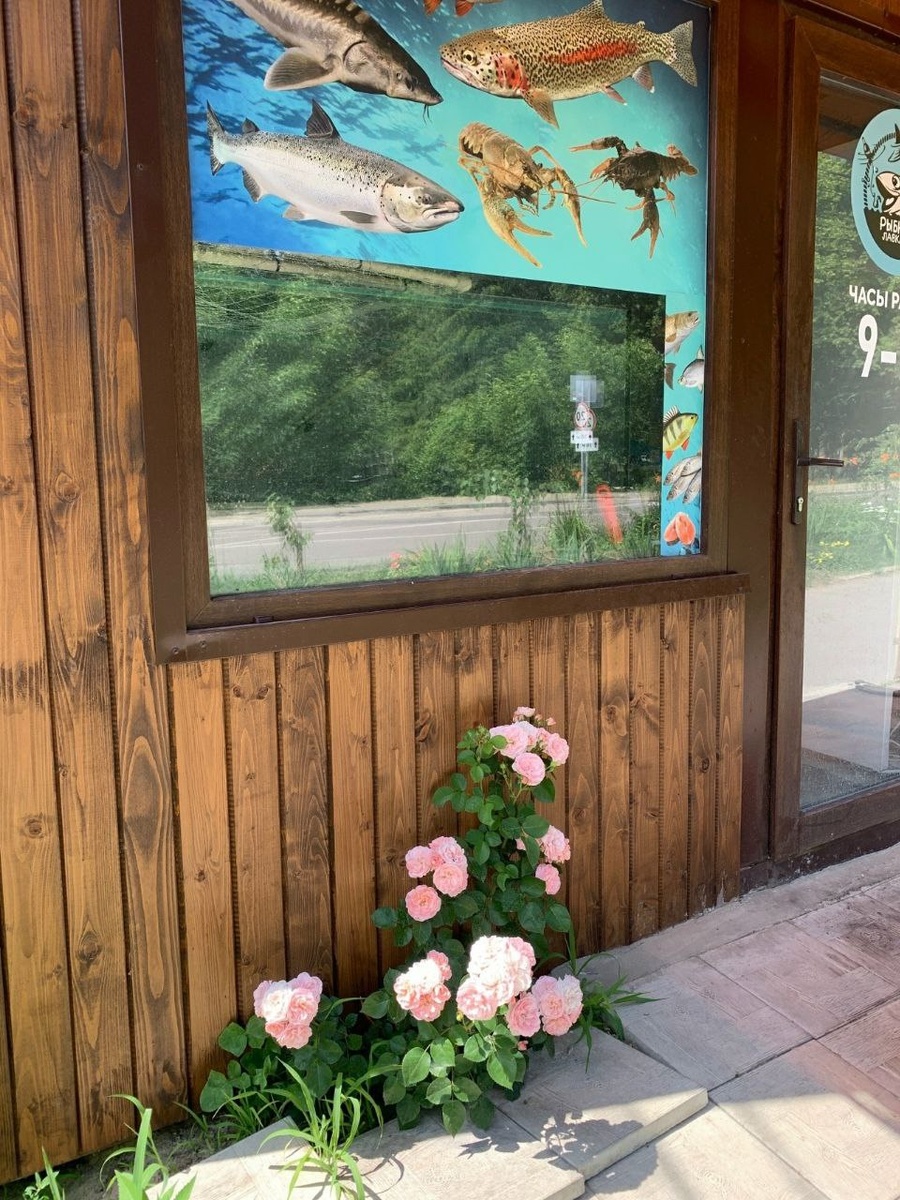 Ларёк с розой