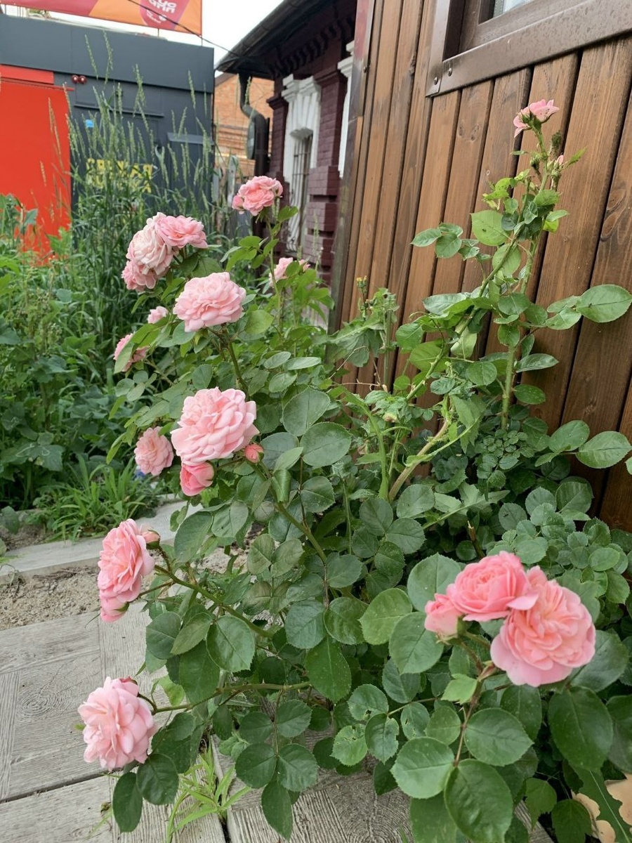 Ну, разве это не фишка места?