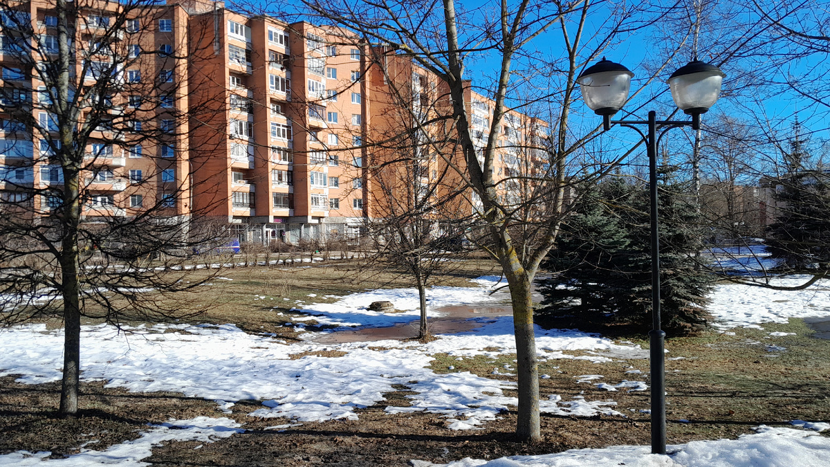 Фото Автора Ирины Одарчук Паули - композитор, музыкант, писатель, поэт, блогер...