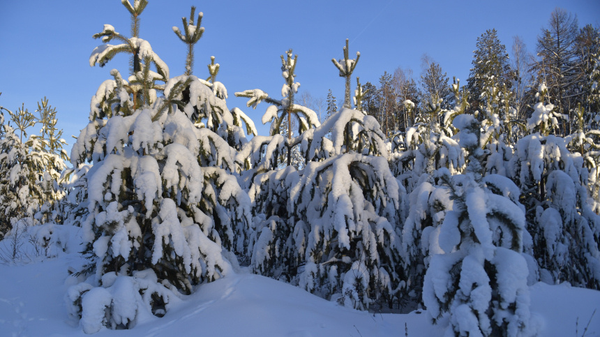    Фото: © РИА Новости/Павел Лисицын