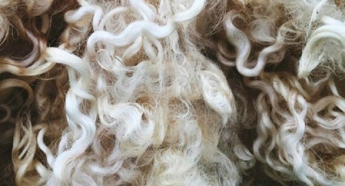    Фото сообщества Центра Агроаналитики Минсельхоза РФ Редактор