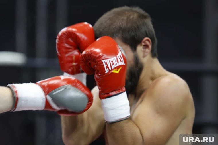     Абдуллаев срубил своего соперника двумя мощными двойками