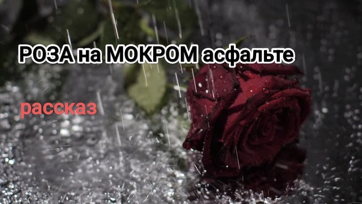 Роза на мокром асфальте - аллегория 