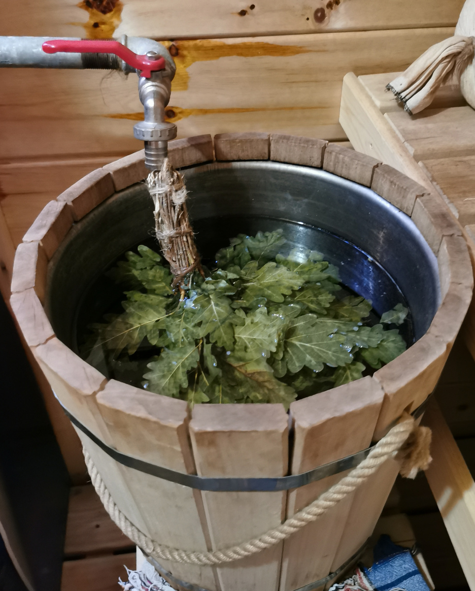 Дубовый веник самый любимый.