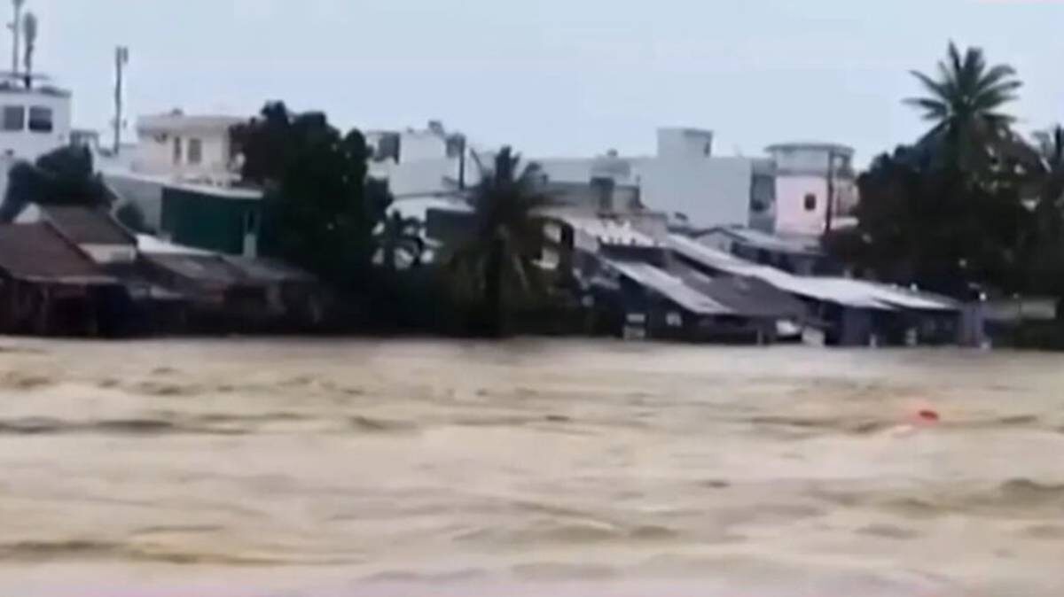    Фото: скриншот / телеканал Thời sự