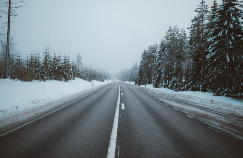 Фото: freepik / wirestock