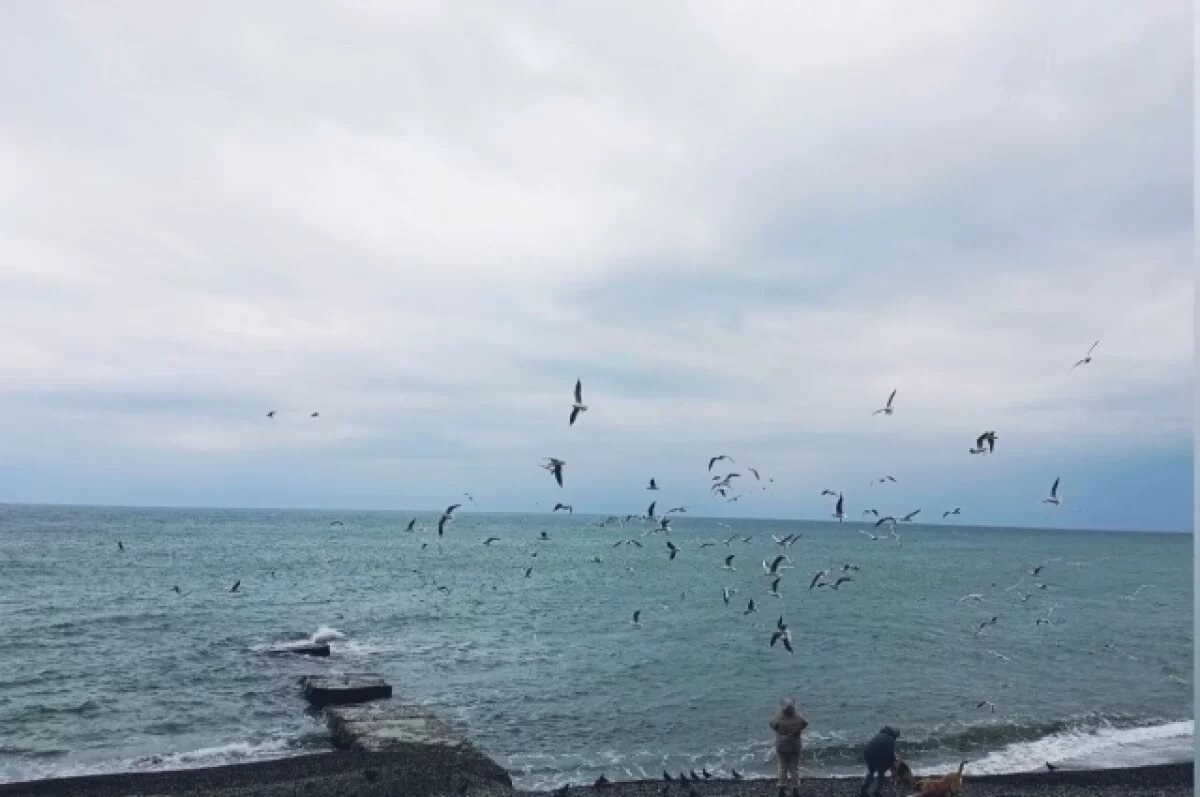    Ночью над Черным морем с помощью ПВО были перехвачены 36 БПЛА ВСУ