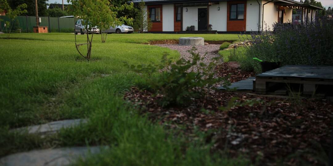 Как посеять газон на участке!