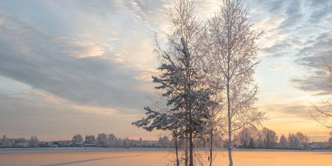 Замерзший пруд