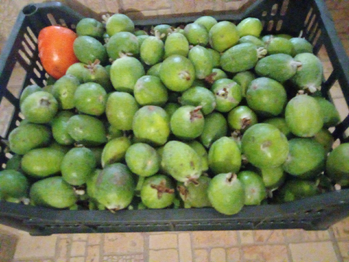 Фейхоа имеет богатый аромат: нотки земляники и ананаса