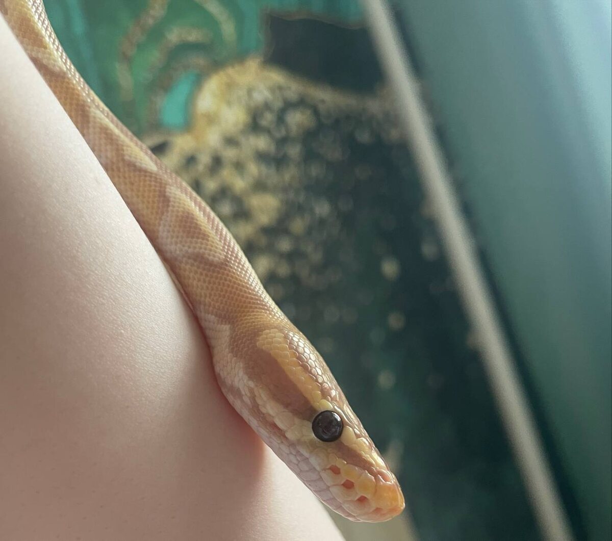 Личный архив