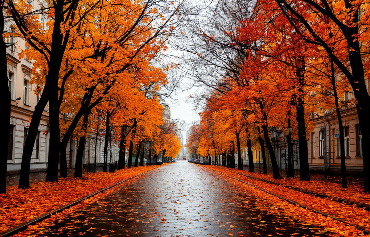    Фото: Коллаж RuNews24.ru