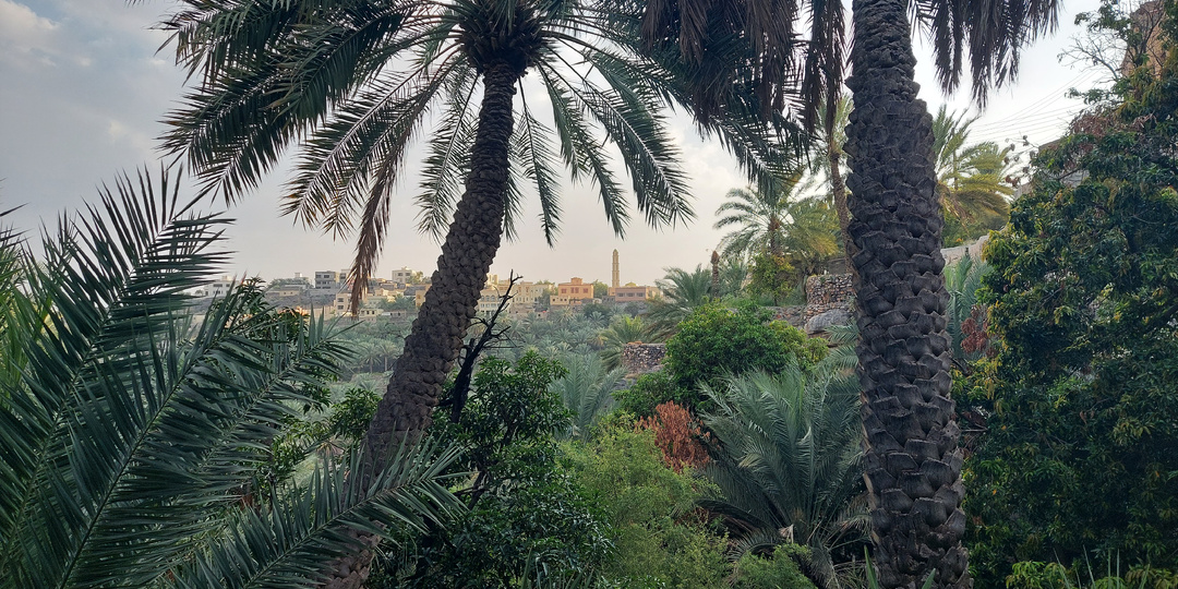 Красоты Омана: Джебель Шамс и Мисфах Аль-Абриин