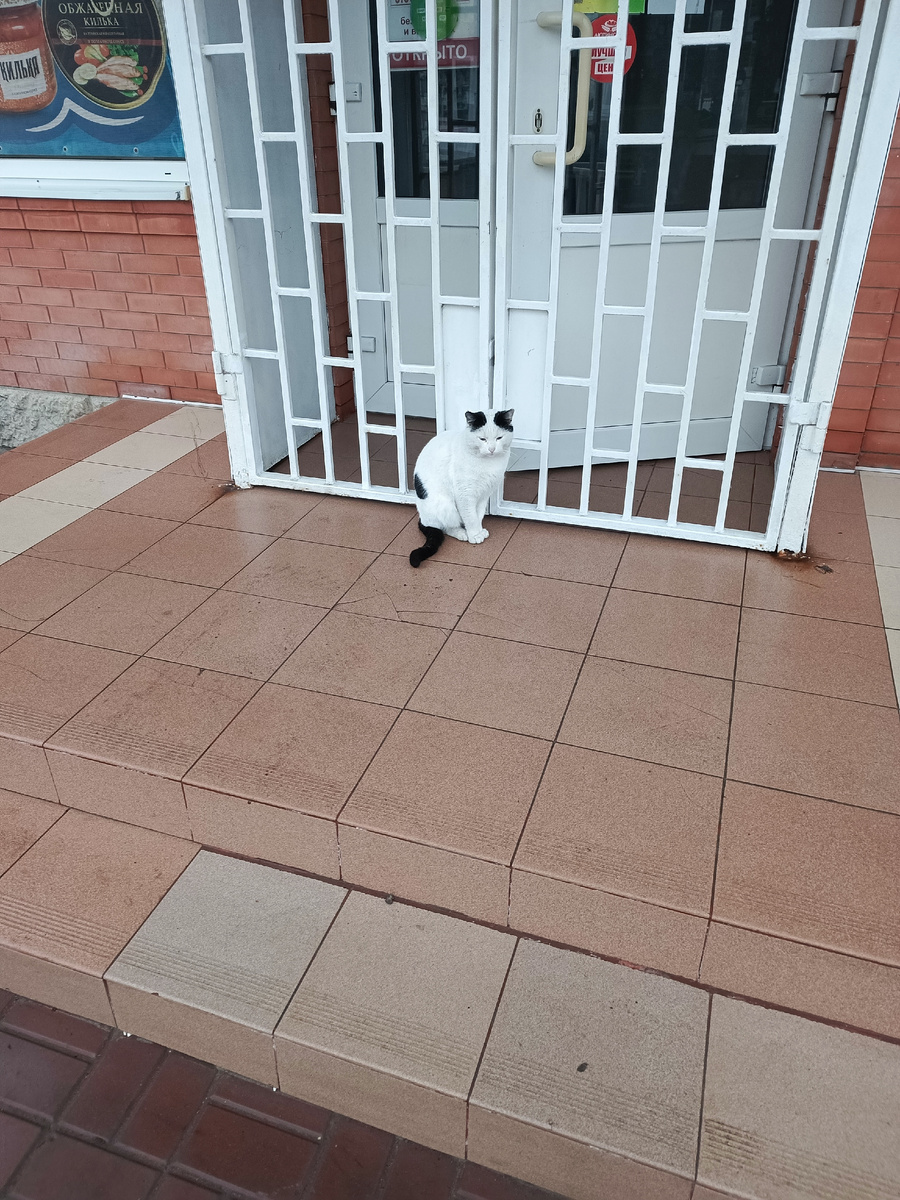 Фото пвтора