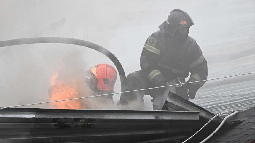    Фото: © РИА Новости/Михаил Воскресенский