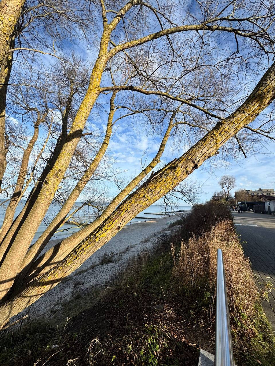 Солнце в ноябре тоже бывает.