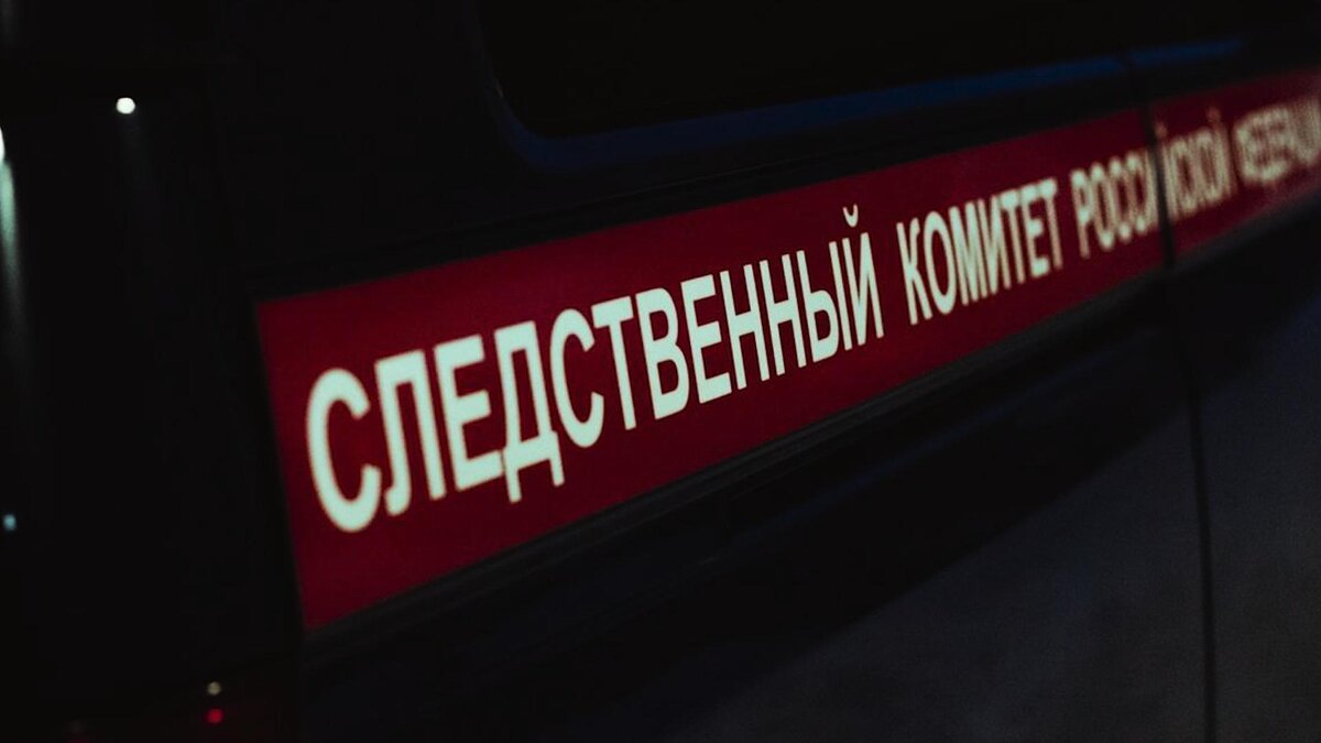    Фото: СК РФ