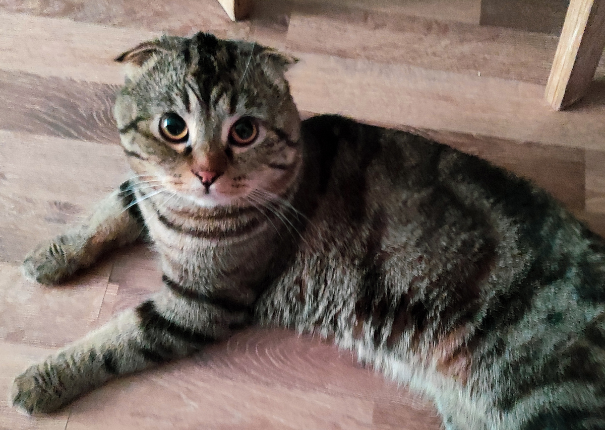 Какие хлопоты? Спать давай!