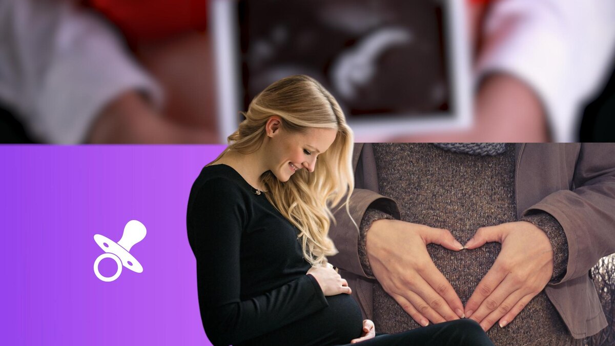 Коллаж 78.ru: pixabay.com; pngwing.com