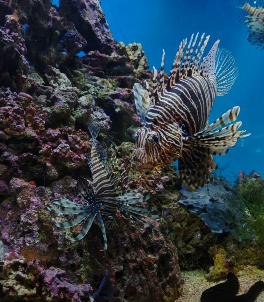 Всё мы немного аквариумные рыбки с памятью в пару минут, когда дело касается посторонних))))))) 