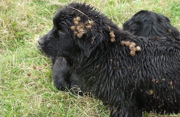 Картинка из интернета для иллюстрации