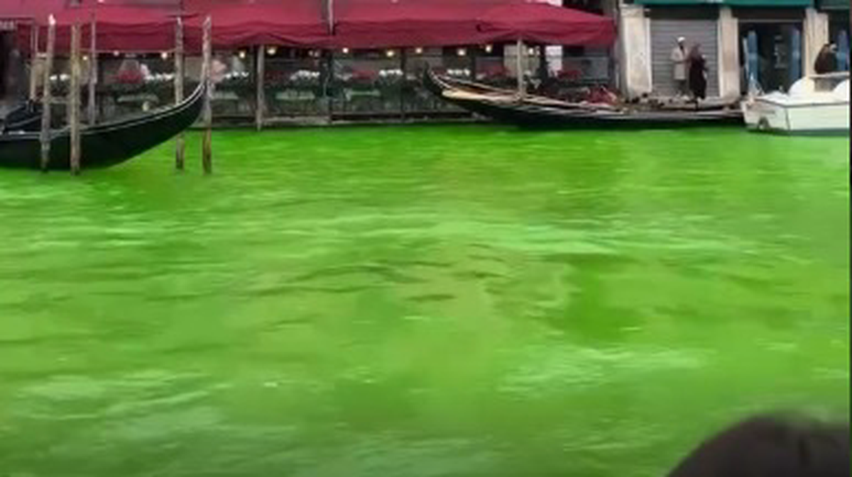    Фото: скриншот / StarHit / Telegram