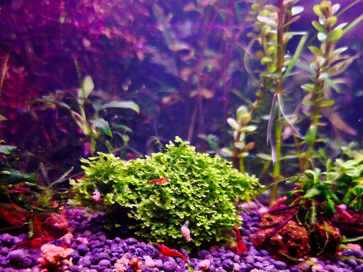 Фото Христенко Юрия 