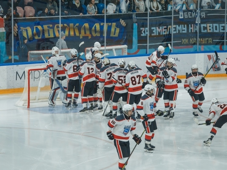     ХК «Арктика» сразится с ХК «Брянск» 23 ноября. Фото: официальная страница ХК «Арктика» Вконтакте.