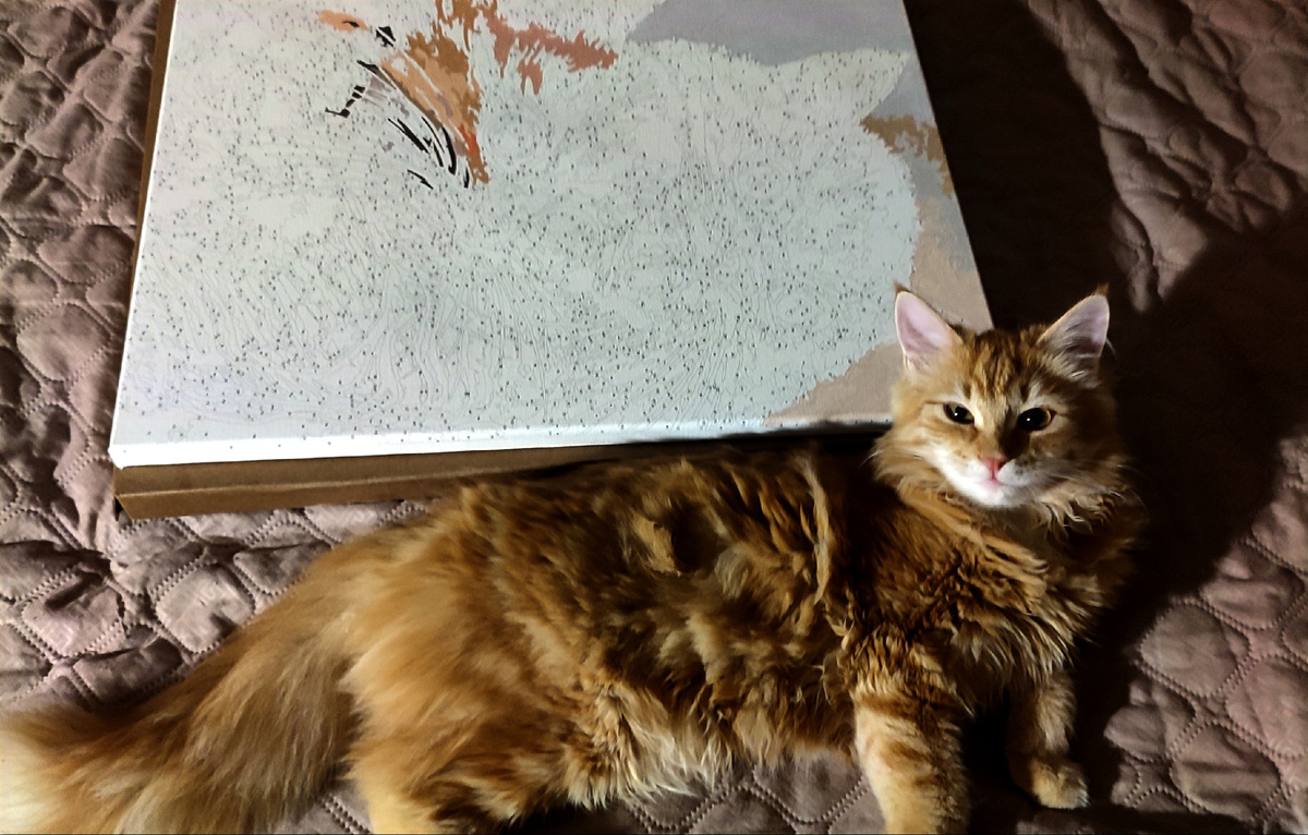 Картину только начала раскрашивать. На ней будут изображены котики, так что  Иннокентий здесь в тему 😁